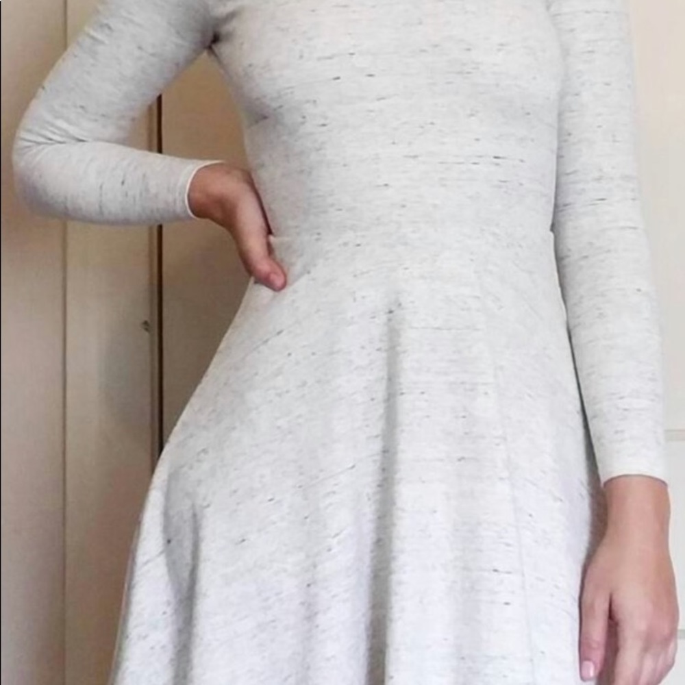 American Apparel Violette Skater Dress